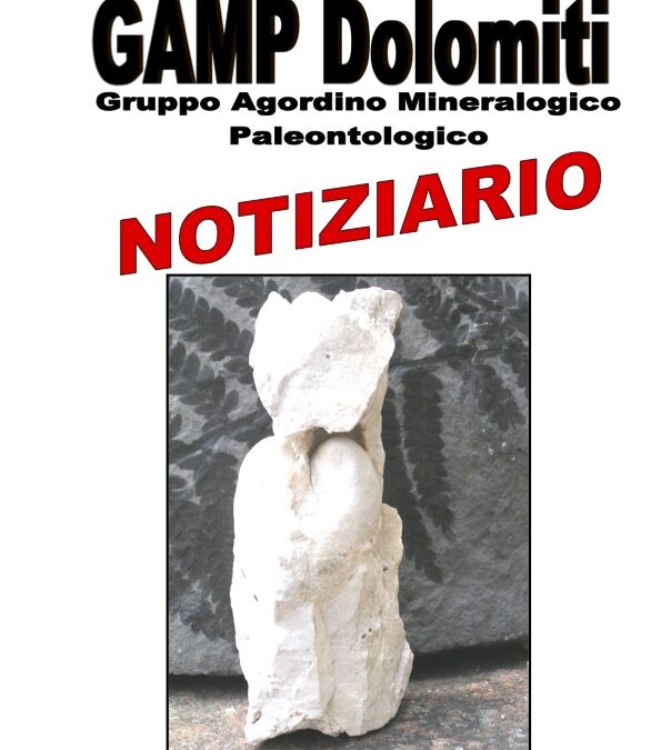 NOTIZIARIO N. 10