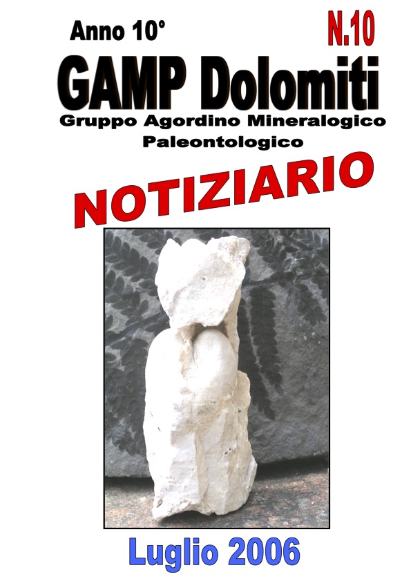 NOTIZIARIO N. 10