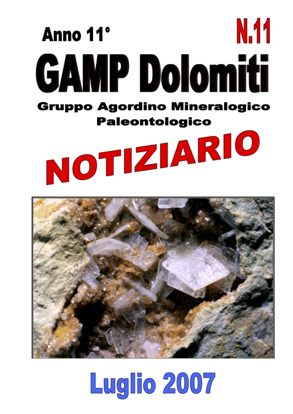 NOTIZIARIO N. 11