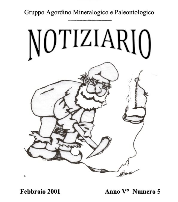 NOTIZIARIO N. 5